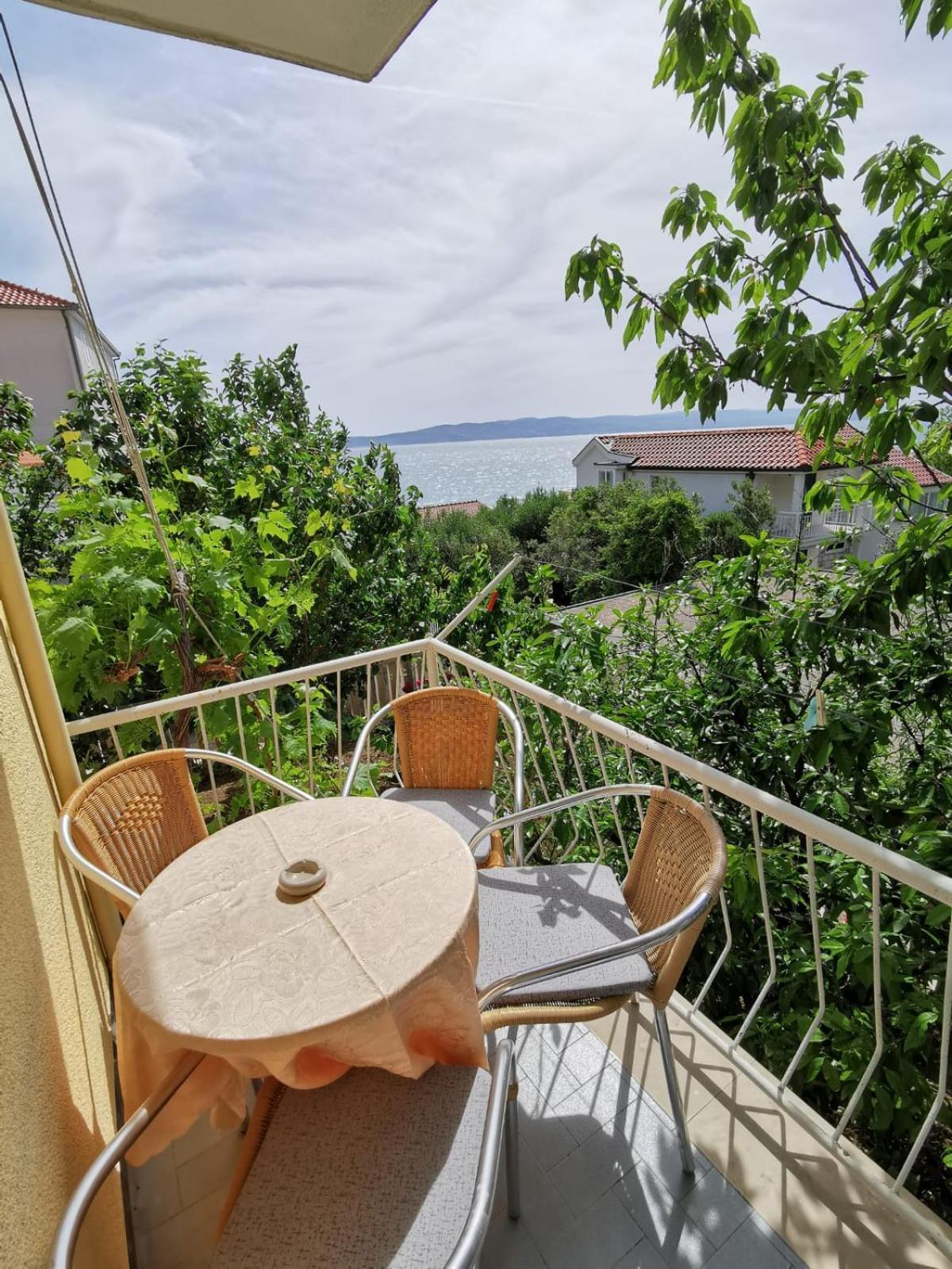 Apartment Ruza 30m From The *